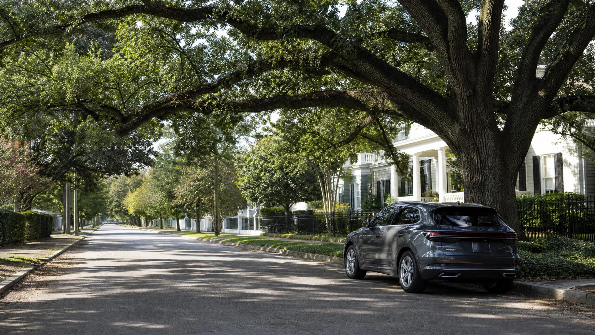A dark gray SUV parked beneath large oak trees on a wide, quiet residential street lined with white columned houses.