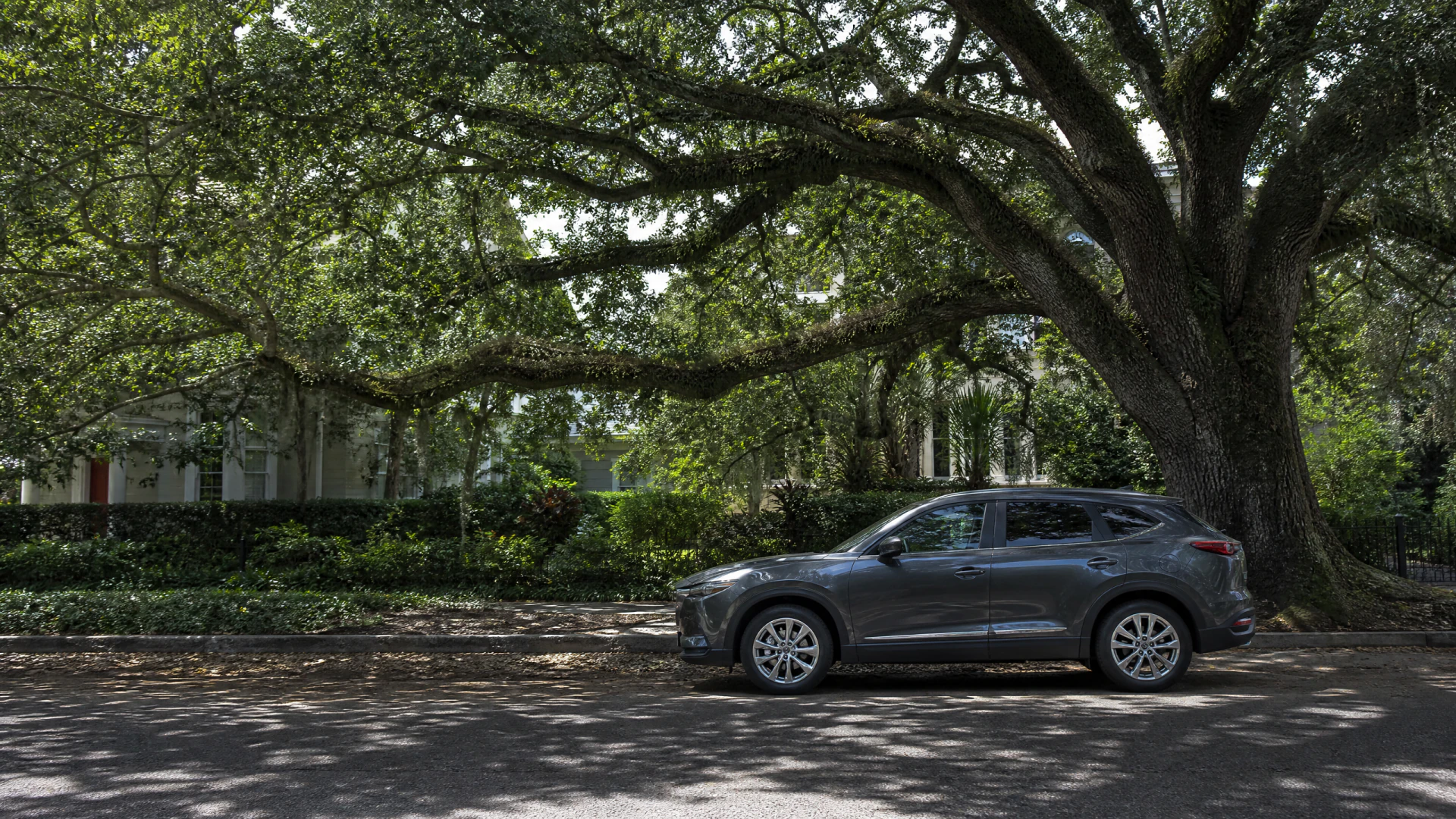 A gray SUV parked in dappled shade beneath a large live oak tree, with a white columned building visible through the surrounding greenery.