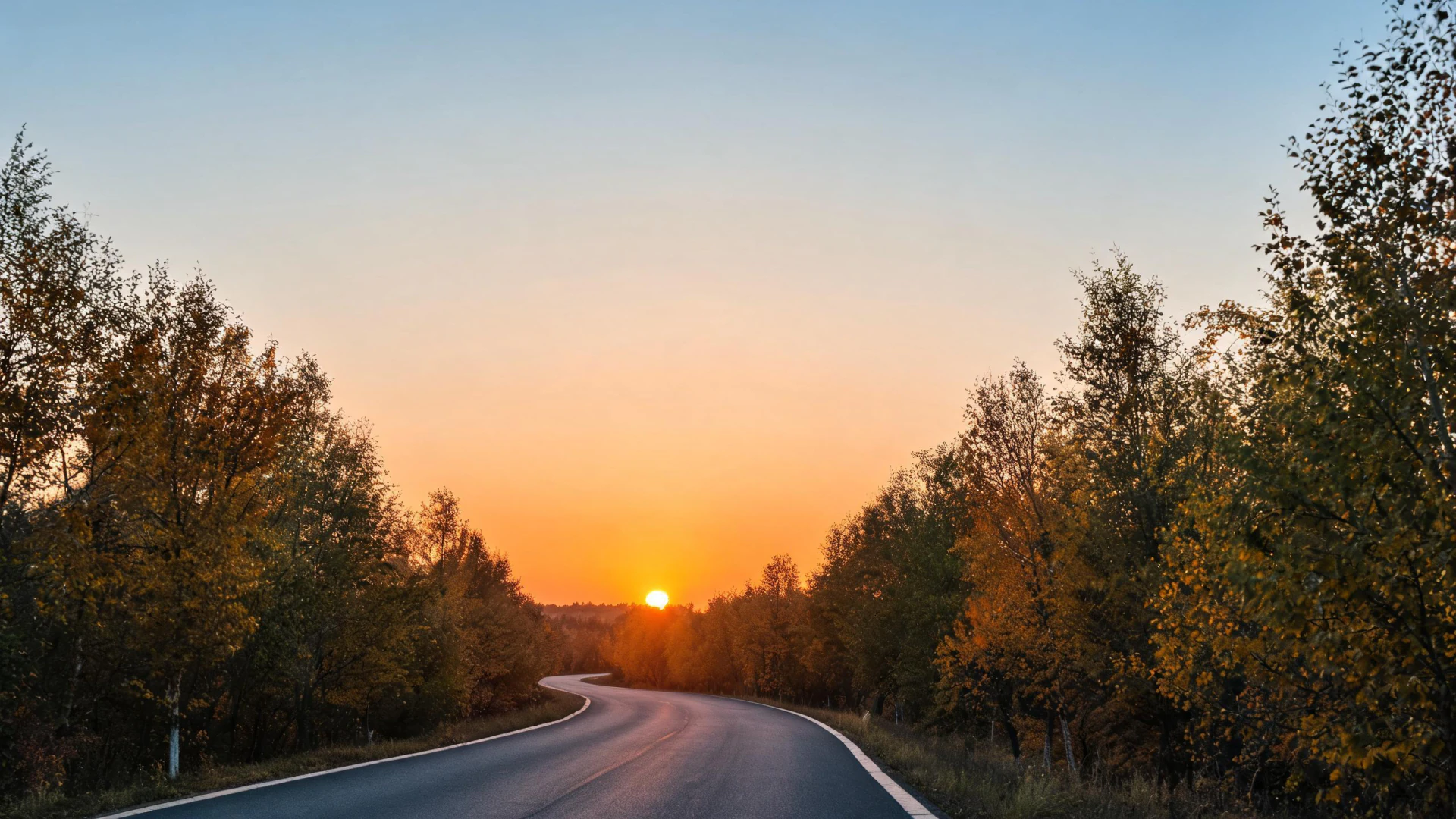 A winding road flanked by autumn trees leads toward a low sun setting on the horizon.