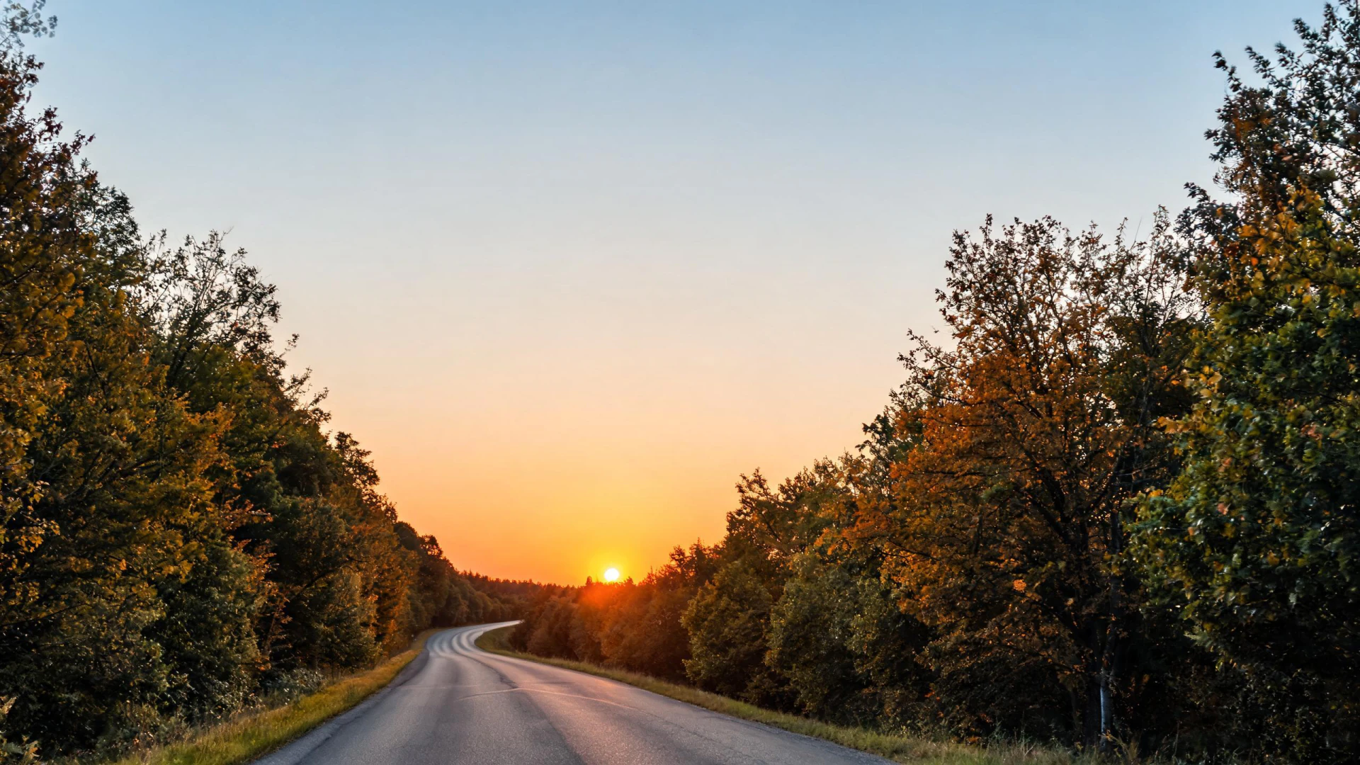 A winding rural road flanked by autumn trees leads toward a low sunset on the horizon.