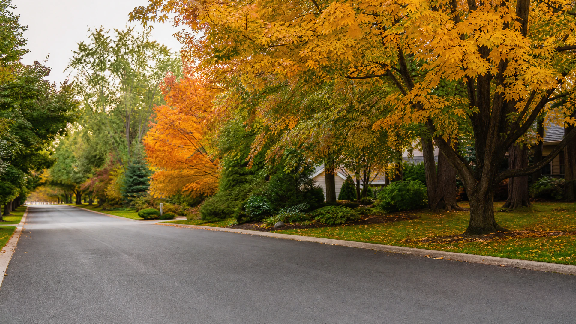 An empty two-lane suburban road flanked by trees in full autumn color and well-maintained front yards with partially visible houses.