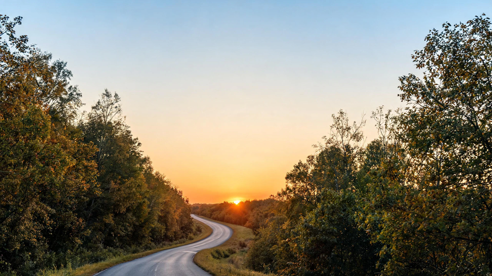 A winding rural road cuts through tree-lined forest under a warm sunset sky.