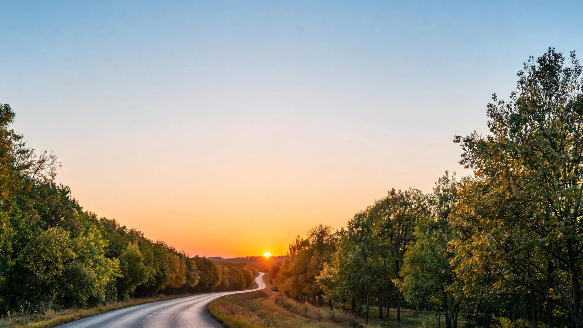 A winding rural road flanked by green and golden deciduous trees leads toward a low sun on the horizon beneath a clear sky.