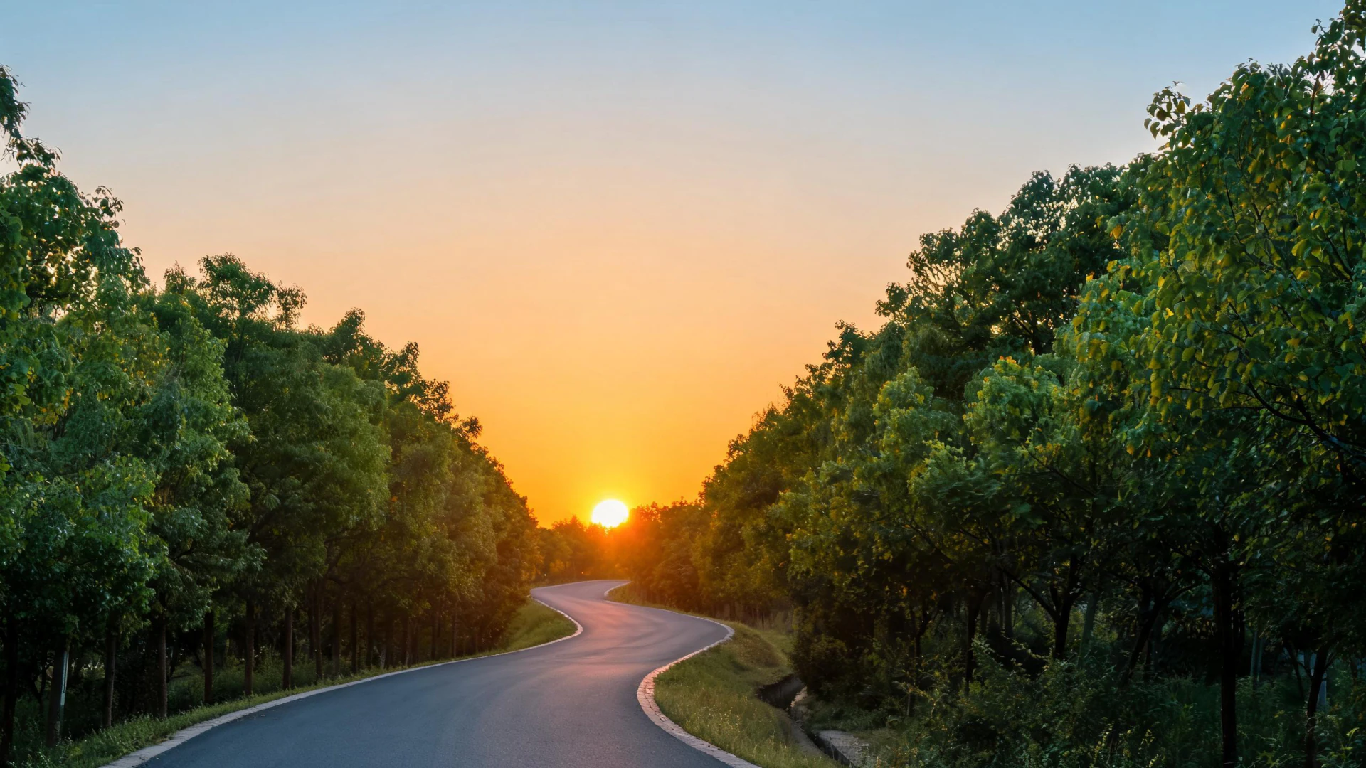 A curved road lined with green trees leads toward a vivid orange sunset on the horizon.