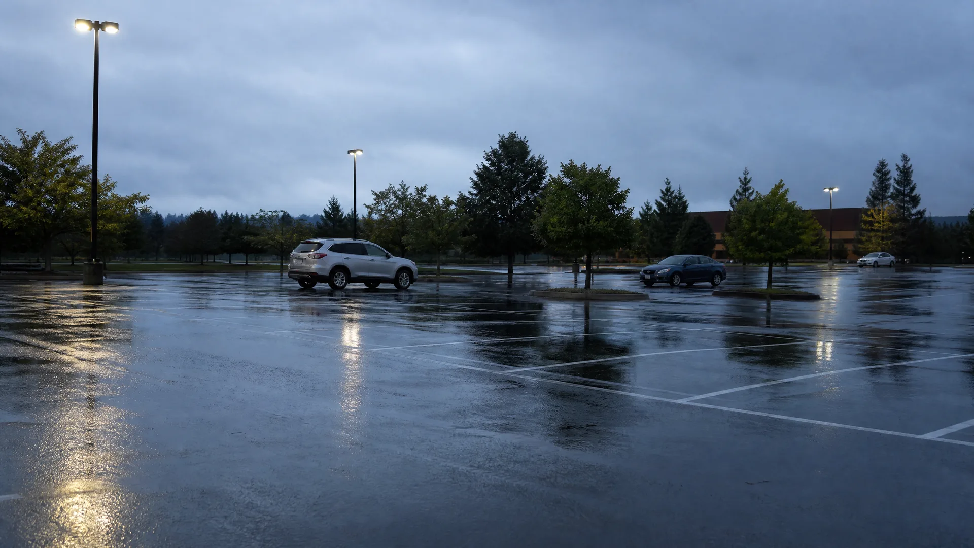 A wet, nearly empty parking lot at dusk under an overcast sky, with a white SUV and a dark sedan parked near lit light poles and trees reflecting on the pavement.