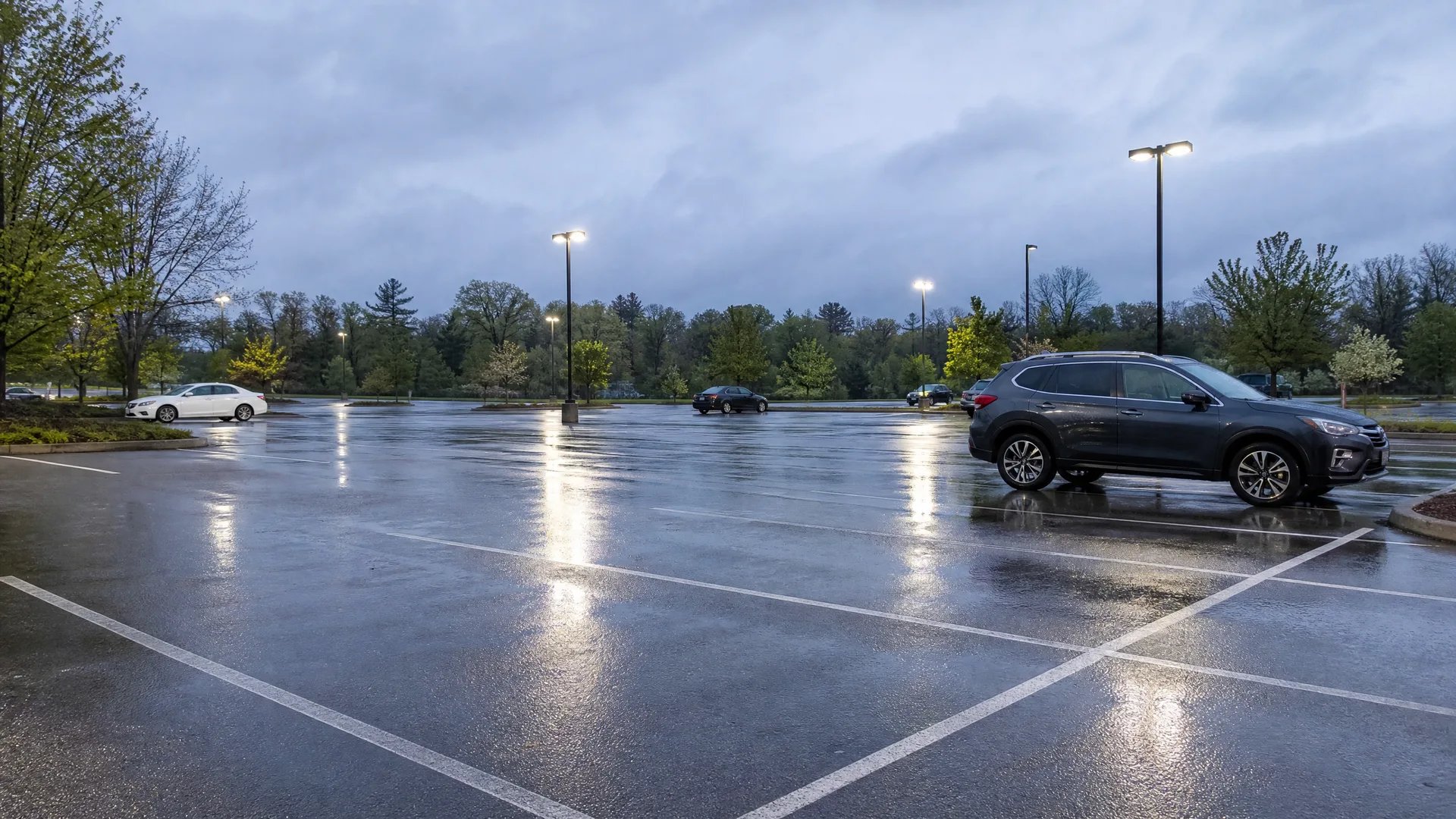A nearly empty parking lot with wet pavement reflecting lit light poles under an overcast sky, with a dark SUV parked at right, a white sedan at left, and trees along the far edge.
