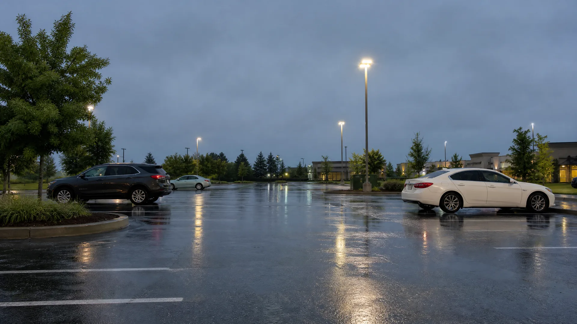 A wet, mostly empty parking lot at dusk with a dark SUV, a silver car, and a white sedan parked near trees, with lit light poles reflecting on the pavement under an overcast sky.