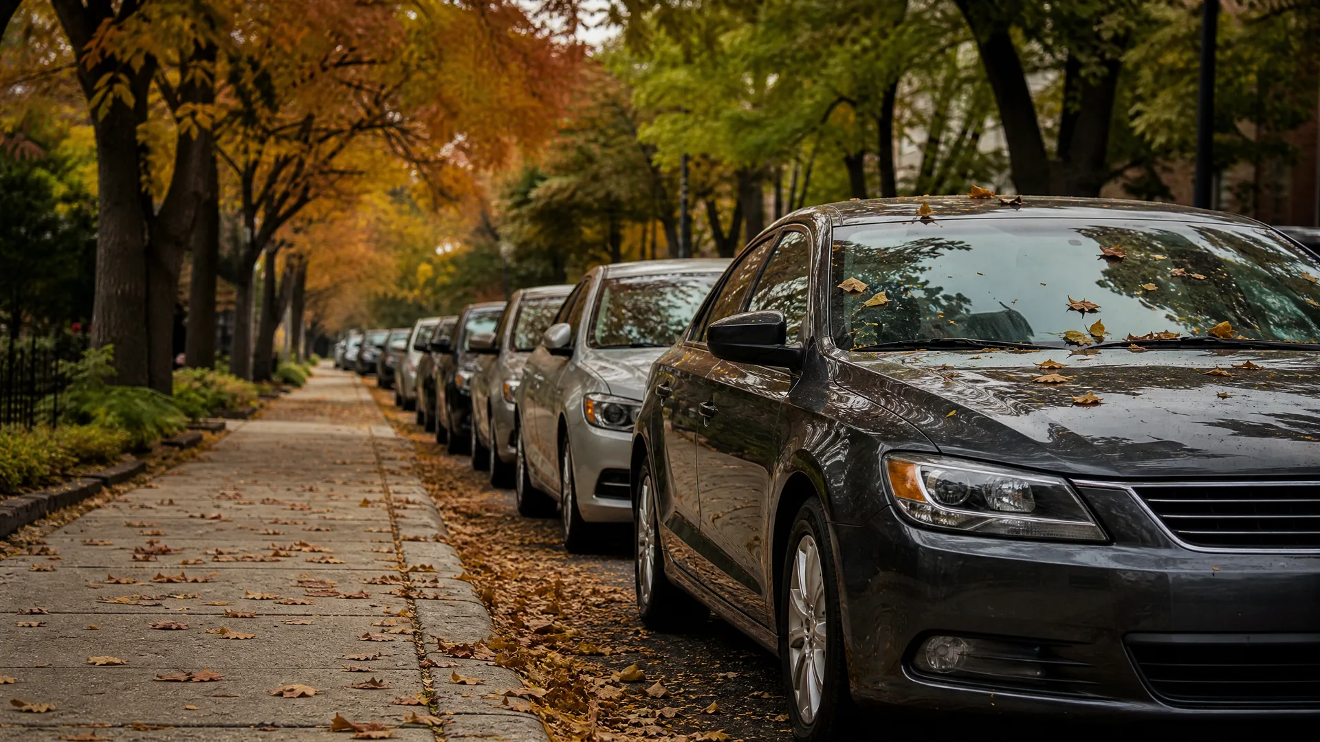 A row of cars parked along a residential street beside a leaf-covered sidewalk, with trees in autumn foliage overhead.