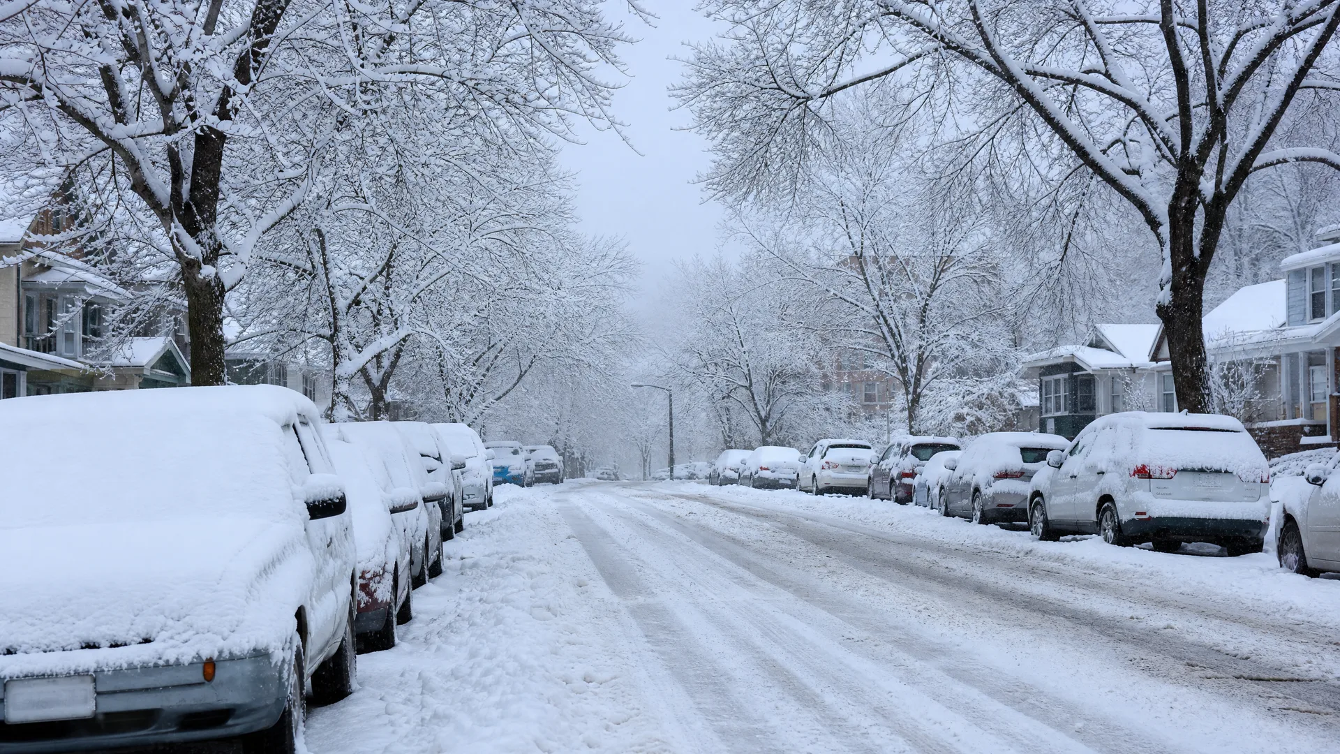 A residential street covered in snow, lined with snow-buried parked cars, bare snow-laden trees, and houses on both sides under a pale overcast sky.