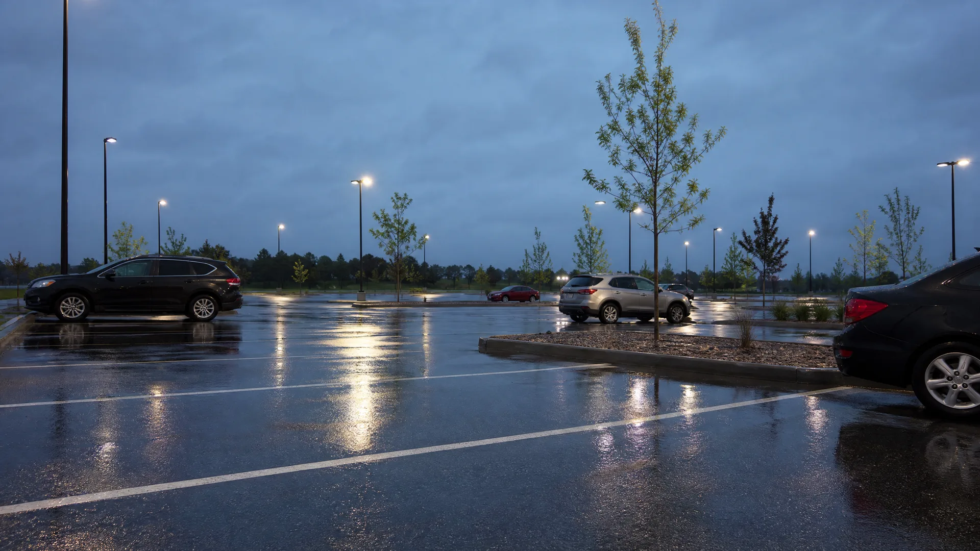 A wet parking lot at dusk with a few parked cars, young trees in a landscaped median, and lit light poles reflecting on the pavement under an overcast sky.