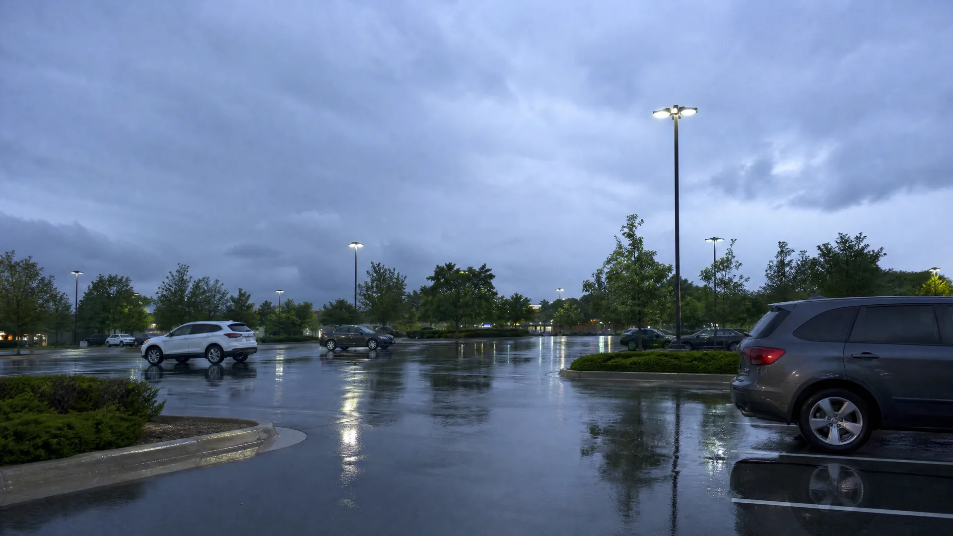 A wet parking lot at dusk under heavy grey clouds, with a few parked cars, lit light poles, landscaped shrub islands and trees, and reflections on the pavement.