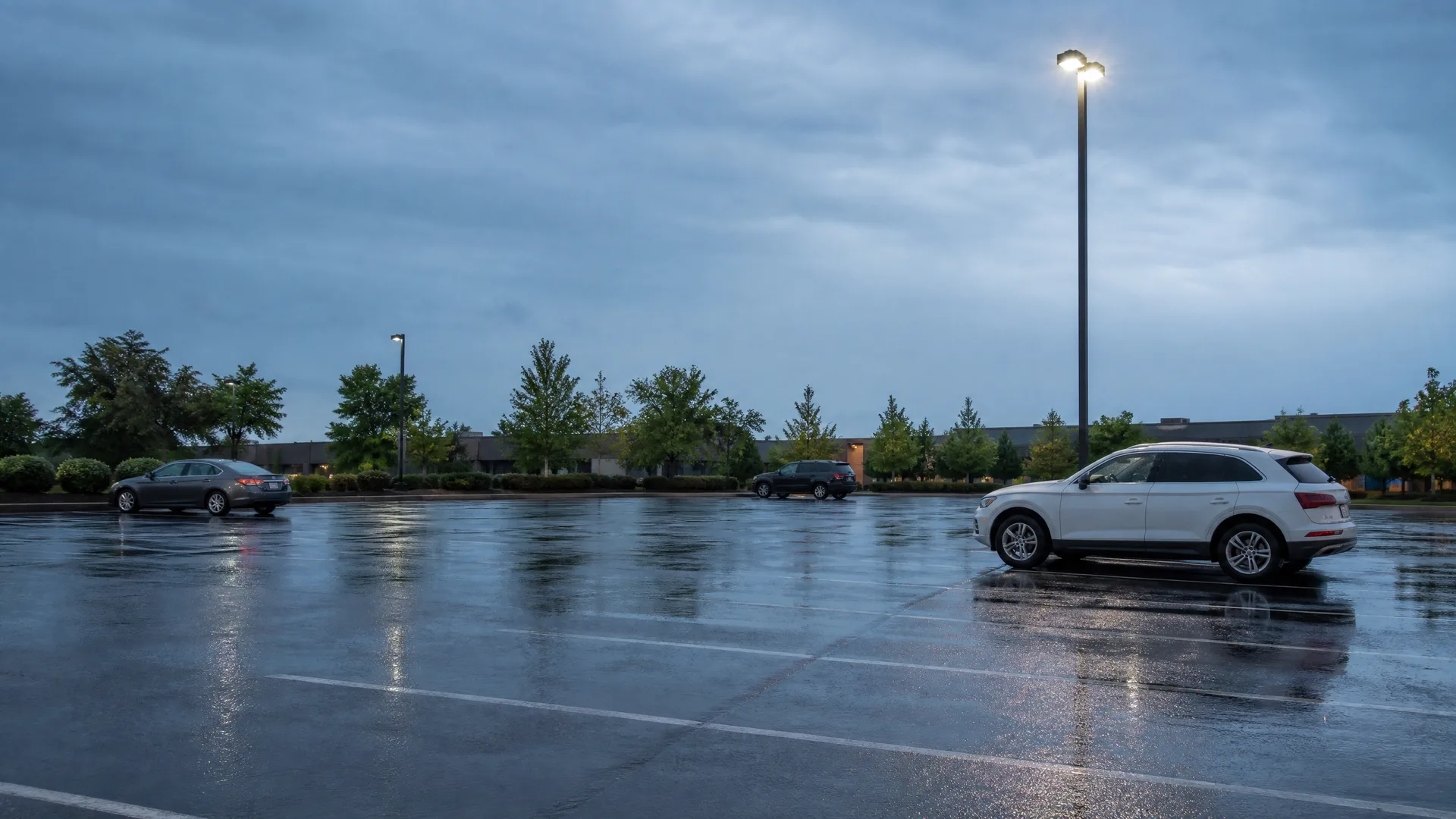 A nearly empty wet parking lot at dusk under an overcast sky, with a white SUV, a dark sedan, a dark SUV, a lit light pole, trees and a low building in the background.