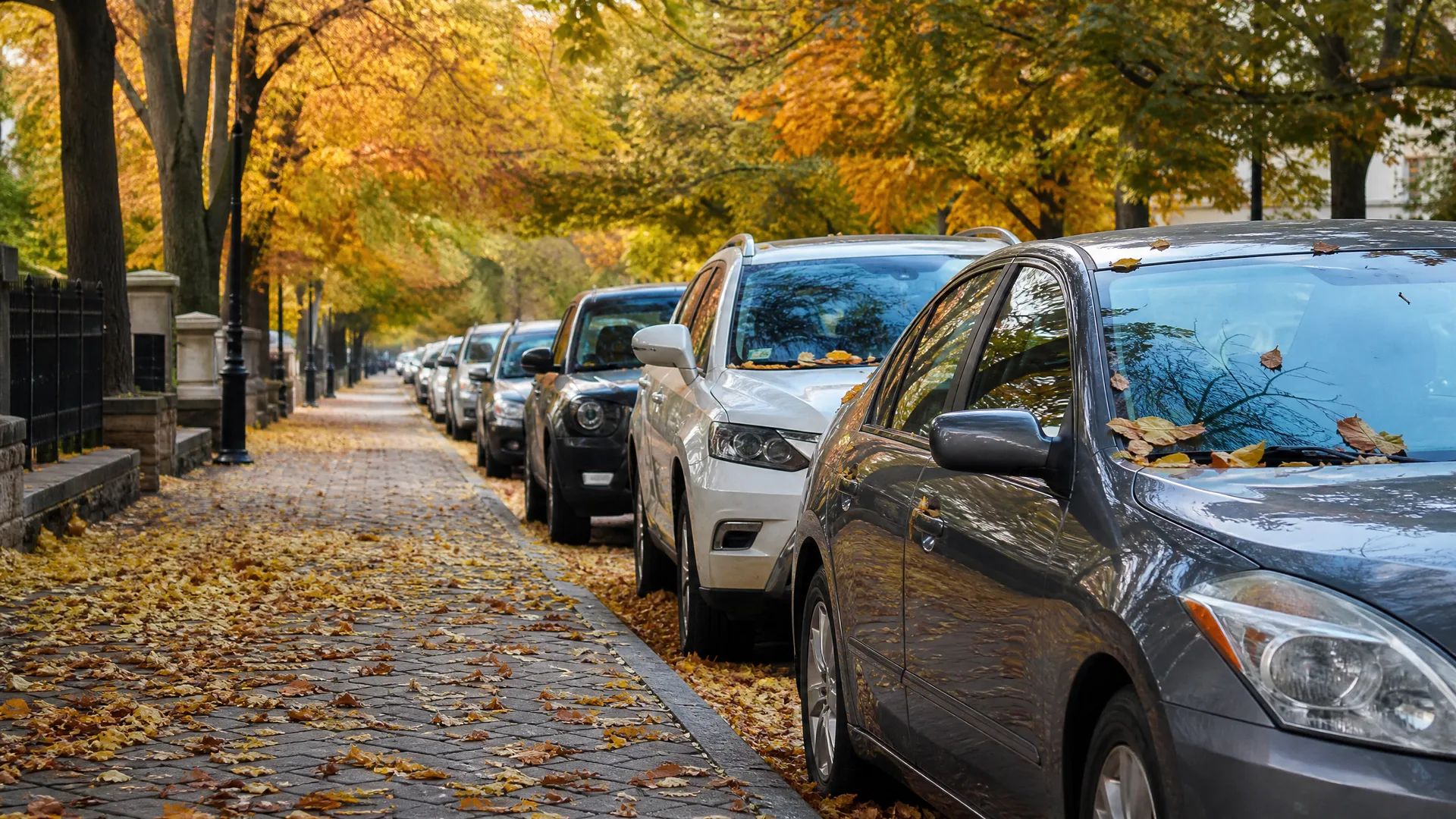 A row of cars parked along a street beside a leaf-covered brick sidewalk, with trees in yellow and orange autumn foliage overhead.