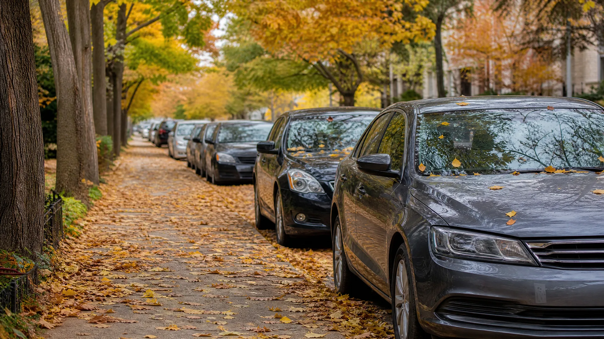 Cars parked along a residential street beside a leaf-covered sidewalk and trees with yellow and orange autumn foliage.
