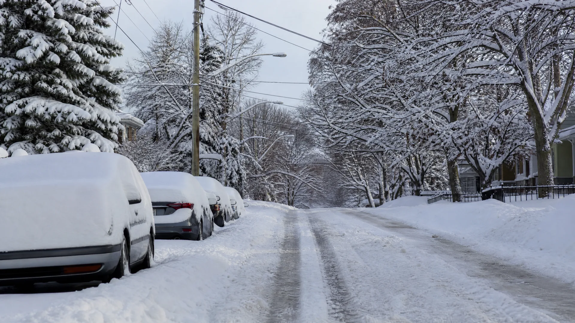 A snow-covered residential street with tire tracks, snow-buried parked cars along the left curb, bare snow-laden trees, utility poles and a streetlight, and houses behind a fence on the right.