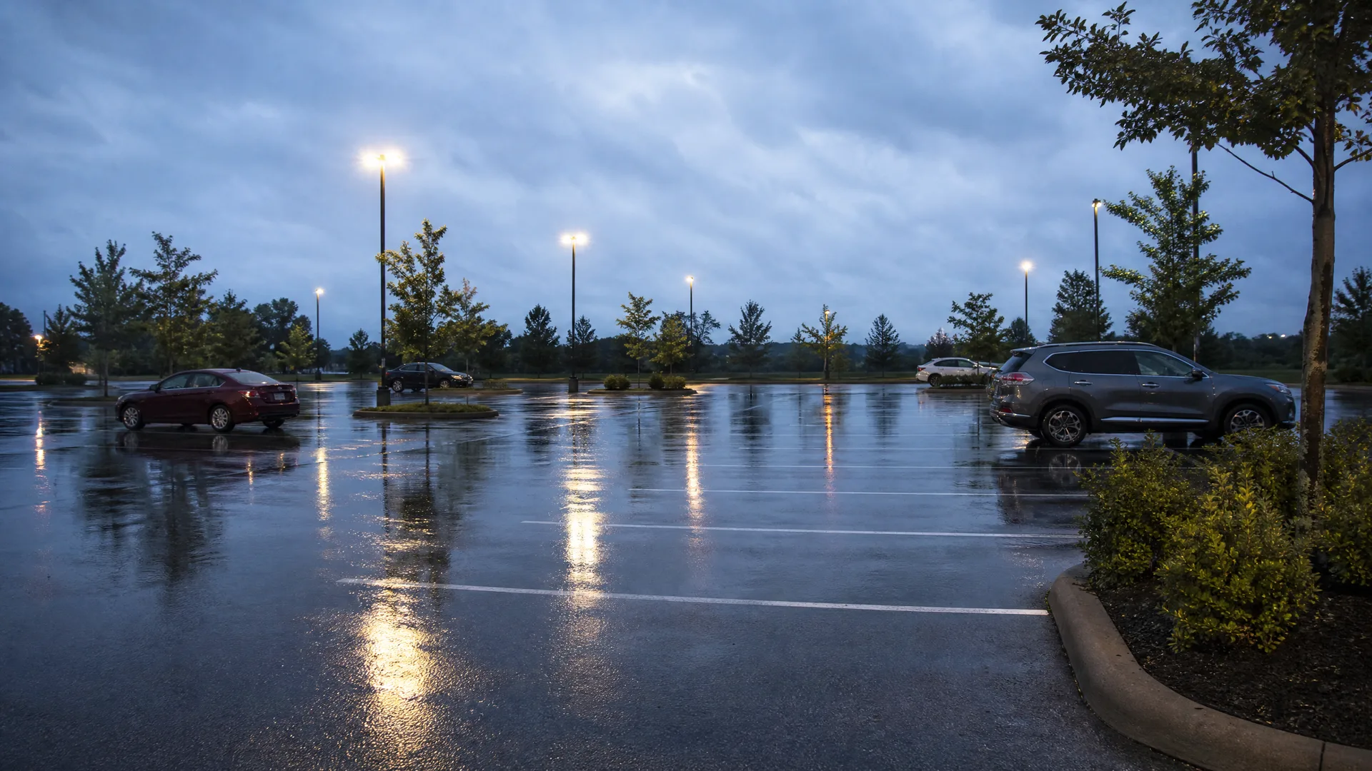 A wet, largely empty parking lot at dusk with lit light poles reflecting on the pavement, a few parked cars, young trees, and an overcast sky.