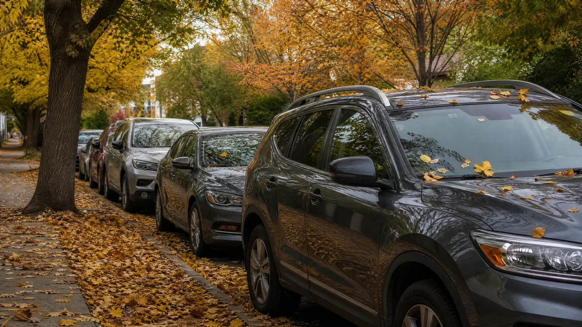 A row of cars parked along a residential street curb under trees with yellow and orange autumn leaves, with fallen leaves covering the sidewalk and car hoods.
