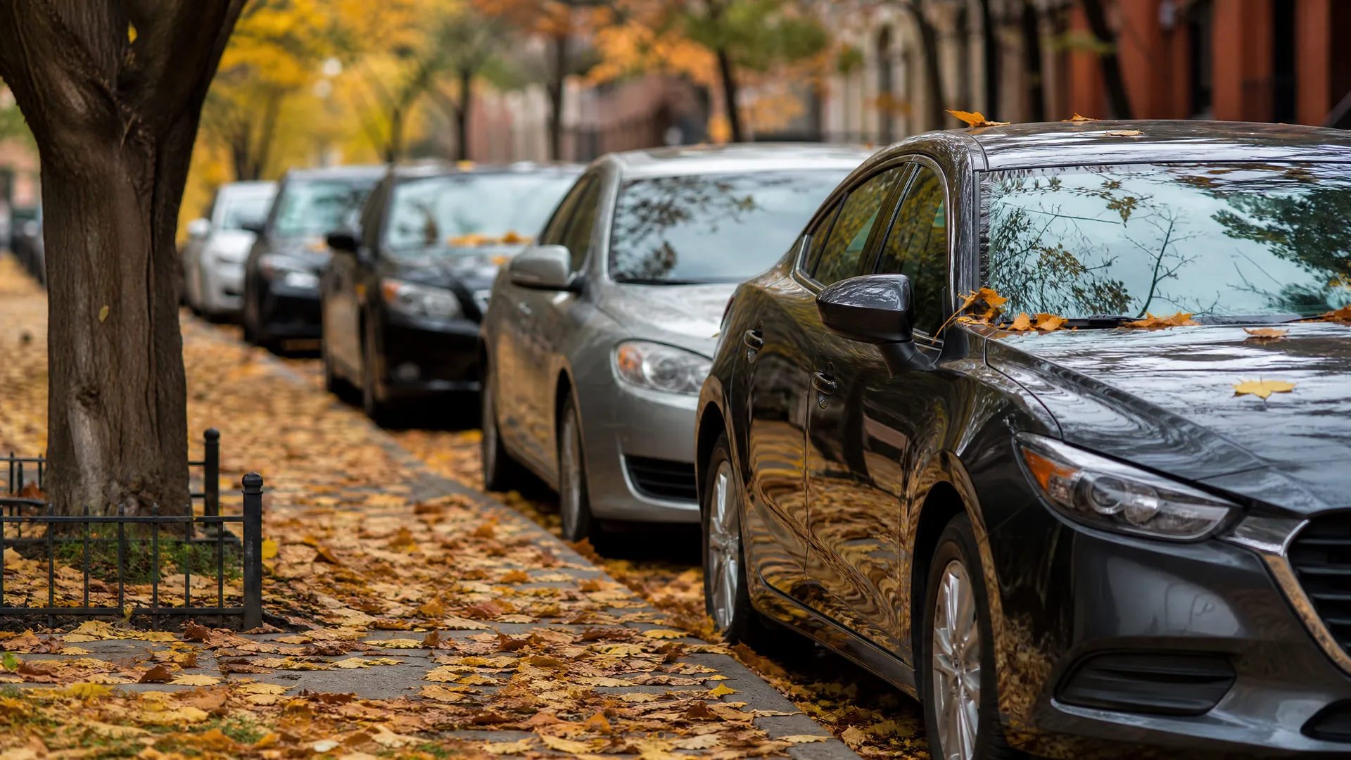 A row of cars parked along a residential street curb, with fallen yellow and orange leaves covering the sidewalk and car hoods, and bare and yellow-leaved trees behind brick buildings.