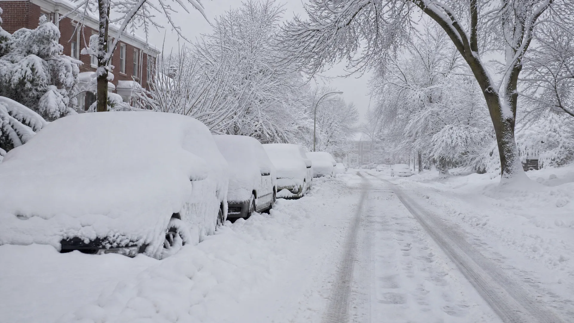 A snow-covered residential street with tire tracks, a row of parked cars buried under deep snow, bare snow-laden trees, and a brick house at left.