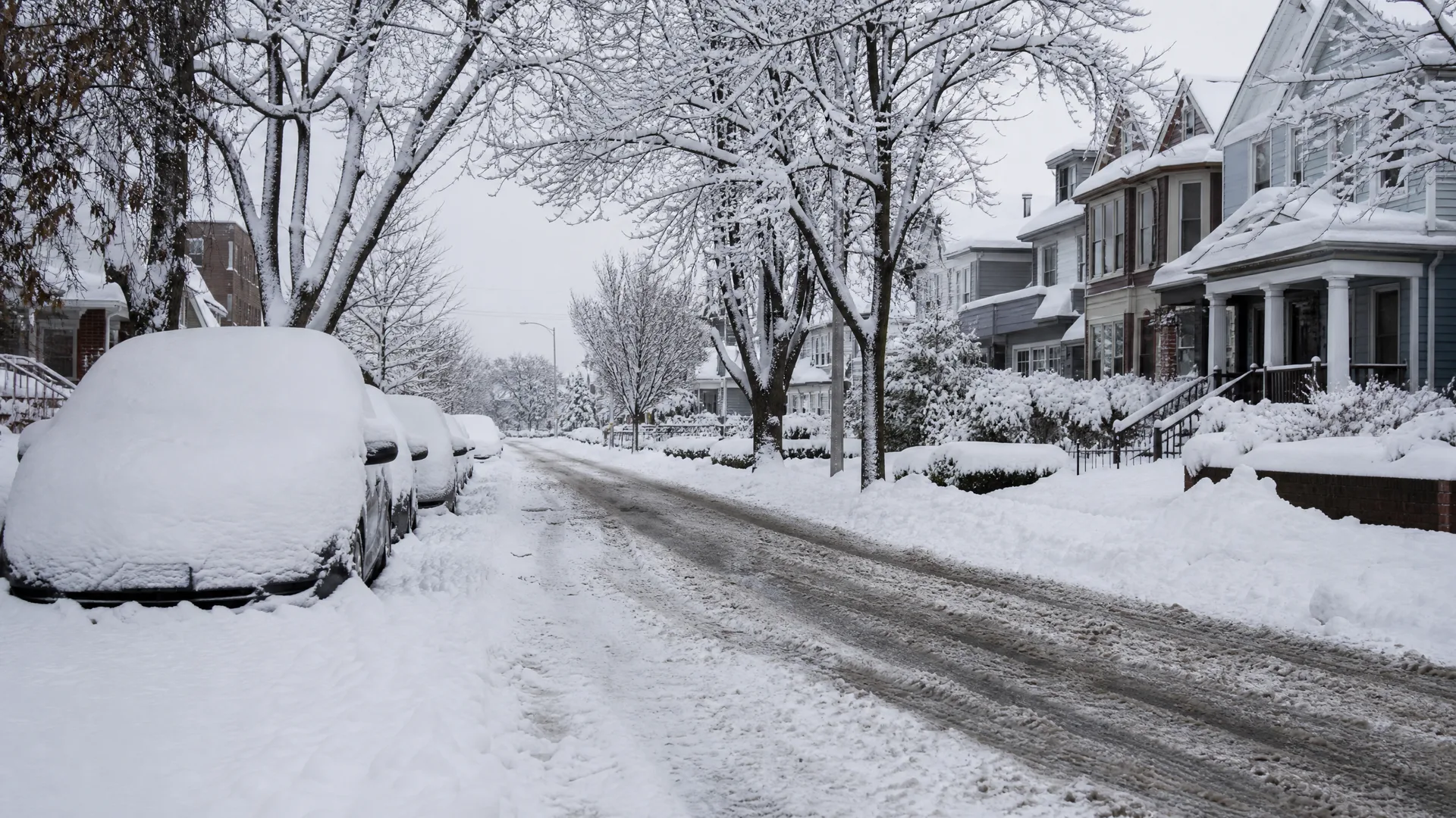 Snow-covered residential street with parked cars buried under snow on the left, bare trees overhead, and houses with porches behind snowy hedges on the right.