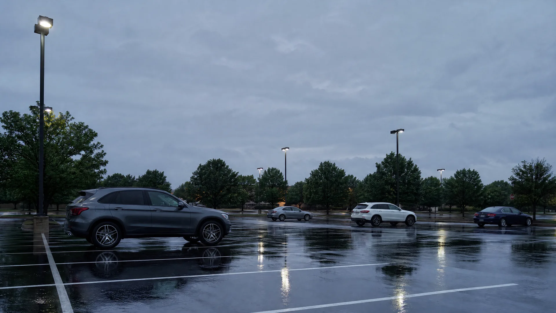 A wet parking lot at dusk with several parked cars, illuminated light poles, and deciduous trees under an overcast sky, with reflections on the pavement.