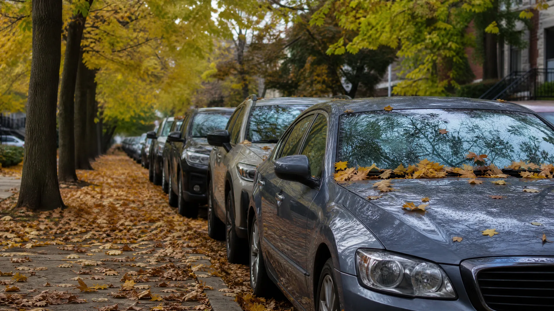 Cars parked along a residential street beside a leaf-covered sidewalk and trees with yellow autumn foliage, with fallen leaves on the nearest car's hood and windshield.