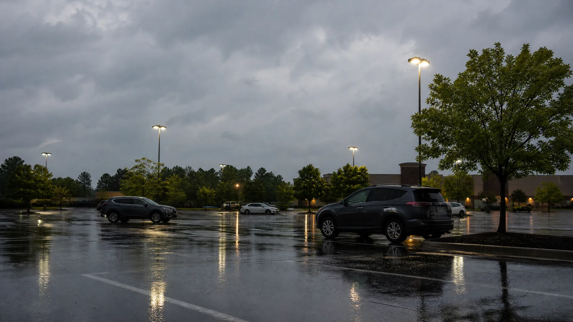 A wet, mostly empty parking lot under heavy gray clouds at dusk, with a few parked cars, lit lamp posts reflecting on the pavement, and trees along the edge.