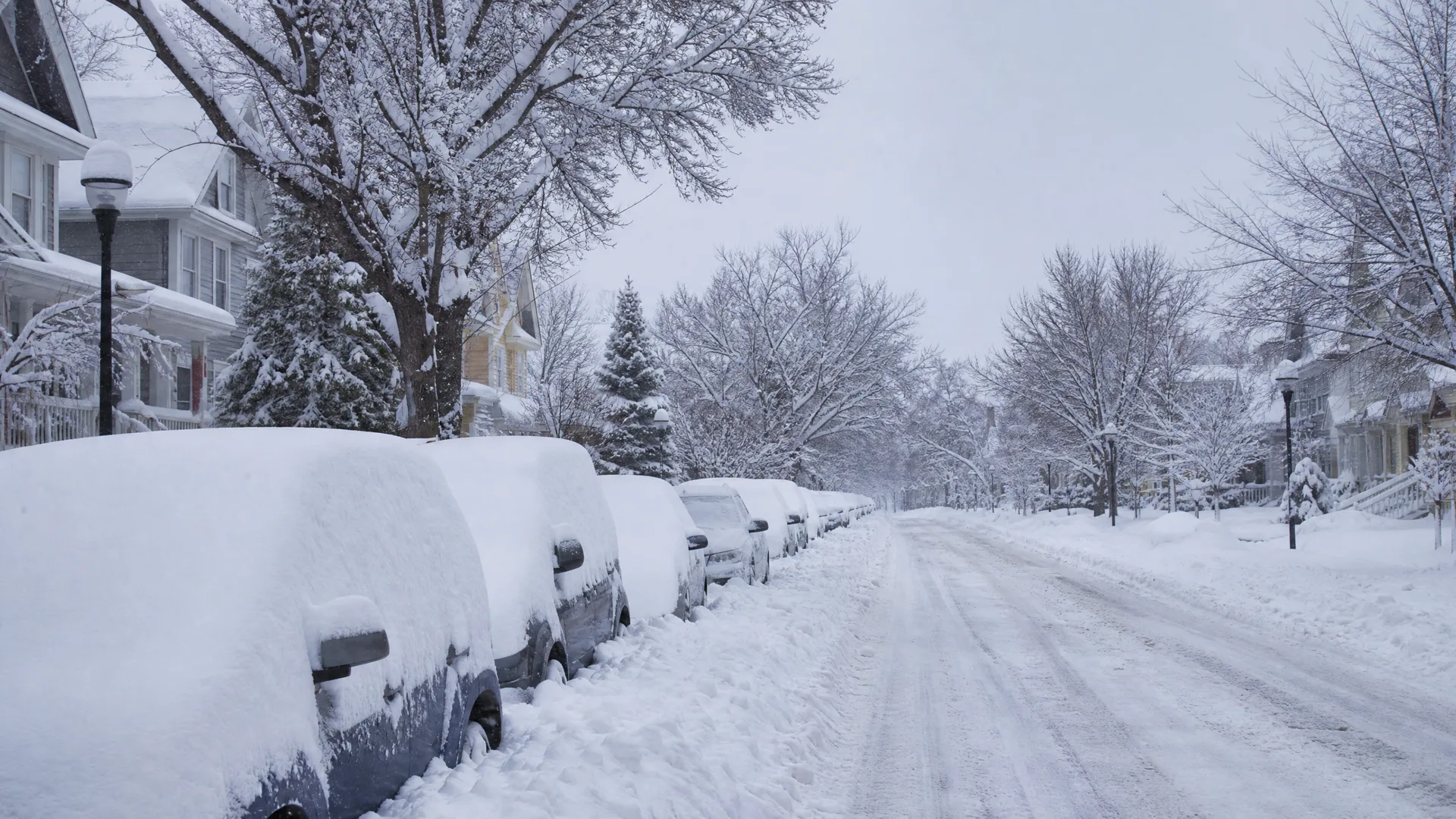 A snow-covered residential street with a row of parked cars buried under deep snow along the curb, bare trees, houses and a streetlamp under an overcast sky.