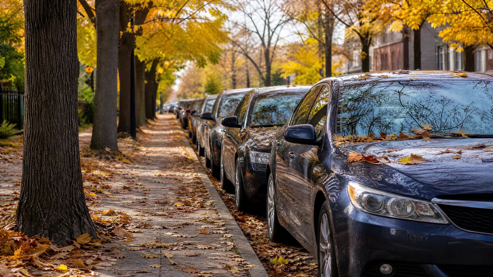 Cars parked along a residential street beside a leaf-covered sidewalk lined with large trees in autumn foliage, with brick buildings in the background.