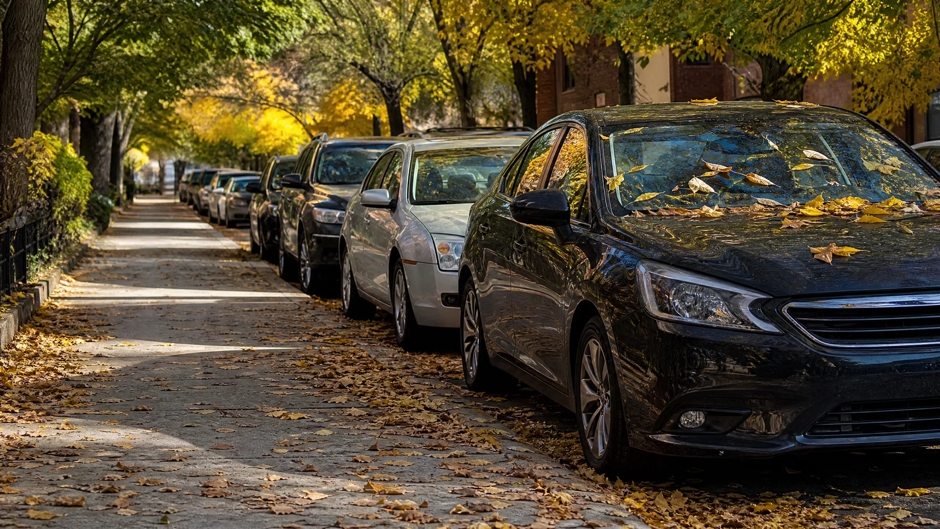 A row of cars parked along a residential street lined with trees in autumn foliage, with fallen yellow leaves covering the sidewalk and car windshields.