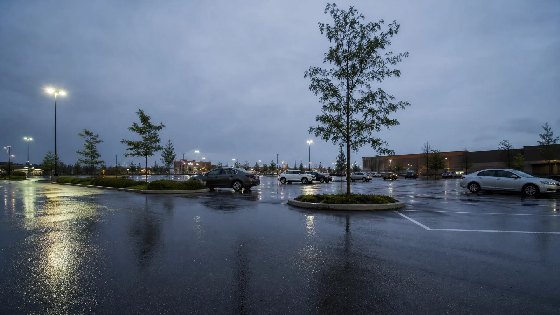 A wet, mostly empty parking lot at dusk under overcast skies, with a few parked cars, landscaped islands with young trees, lit light poles, and a low commercial building in the background.