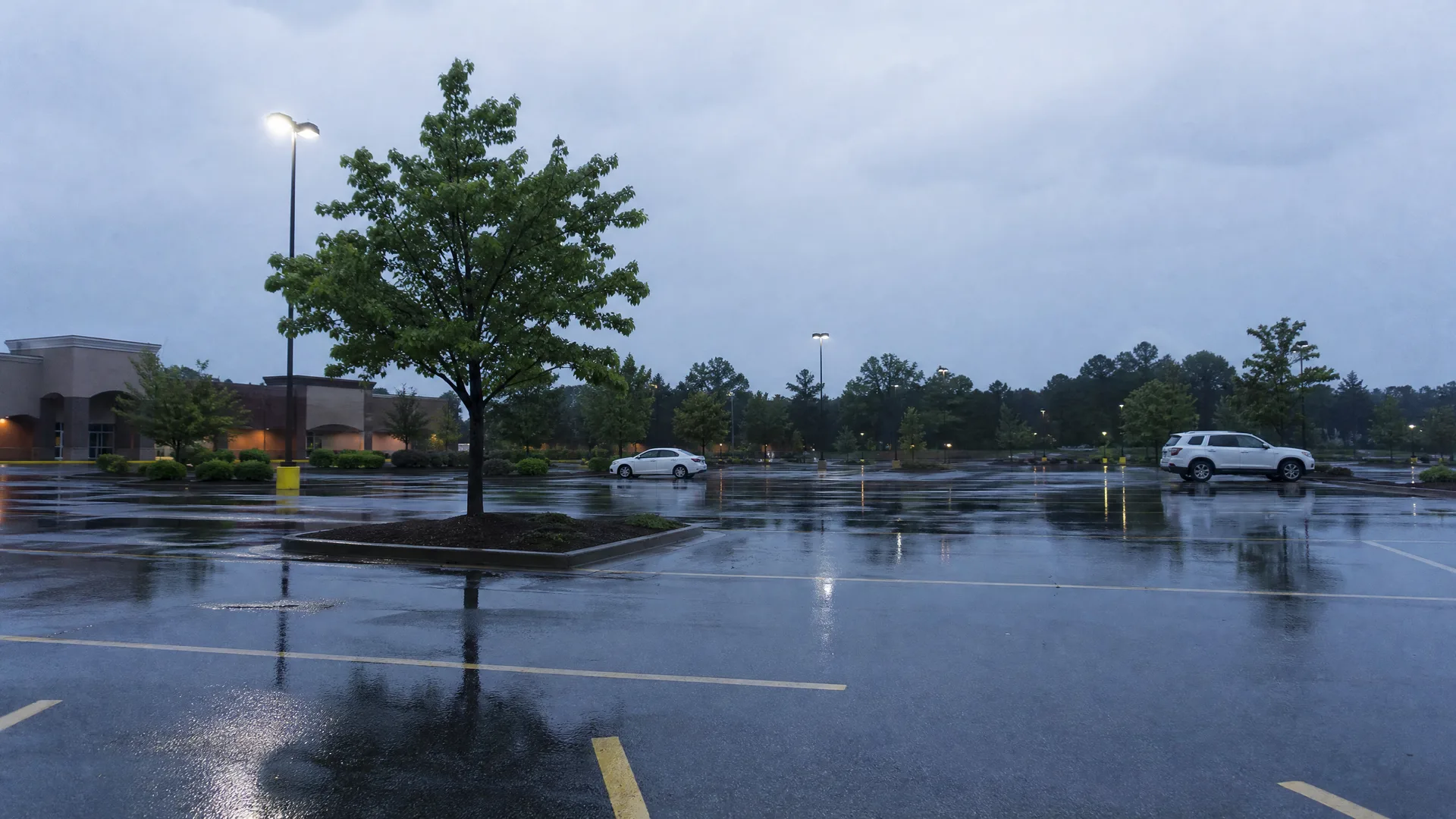 A wet, nearly empty parking lot at dusk with a lit lamp post, a leafy tree in a landscaped island, two parked cars, and a low commercial building and treeline in the background under overcast sky.