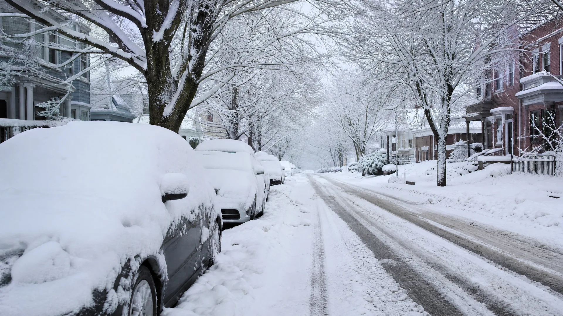 A snow-covered residential street lined with bare trees, with parked cars buried under deep snow on the left and brick houses on the right.