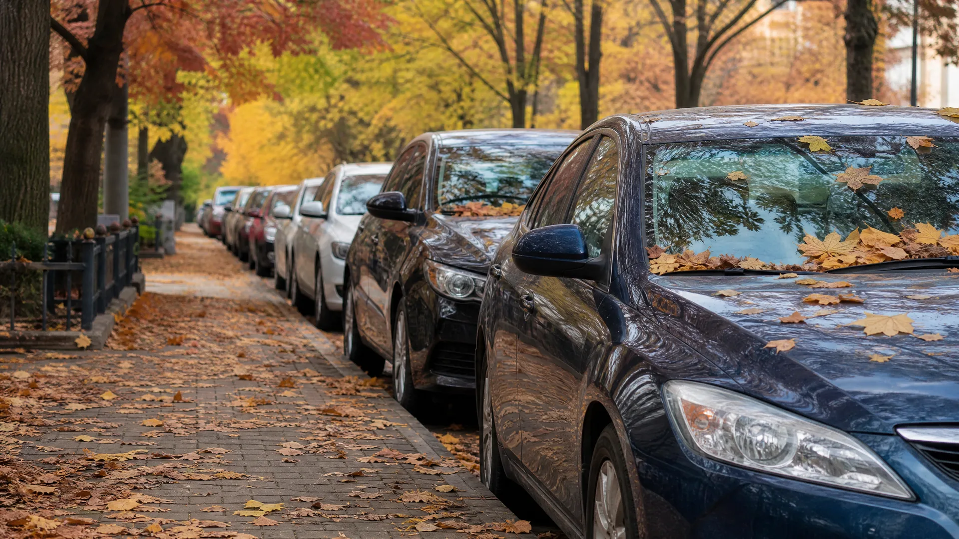 A row of cars parked along a curb beside a leaf-covered paved sidewalk, with autumn-colored trees overhead and fallen leaves on the nearest car's windshield and hood.