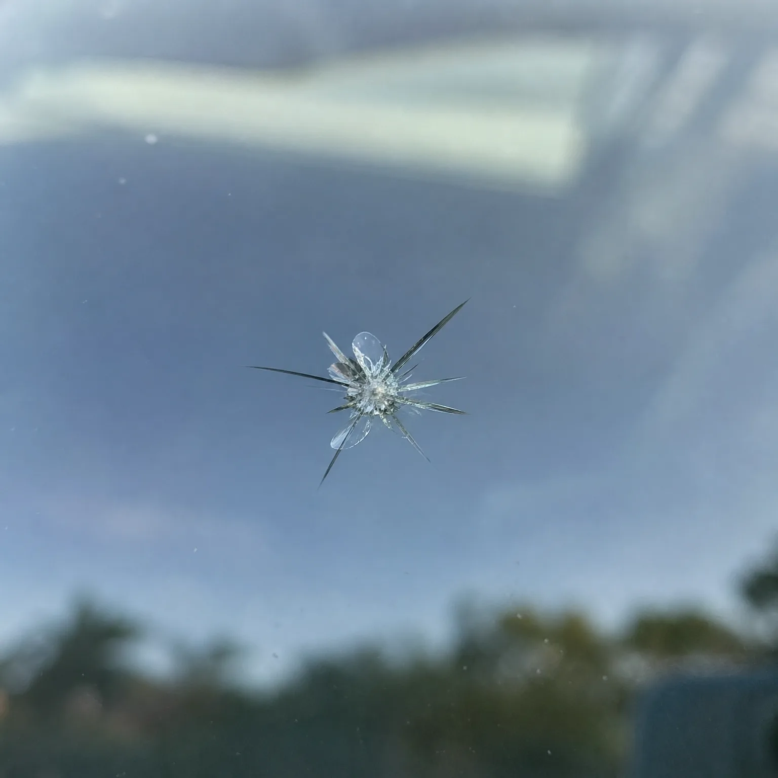 Close-up of a star-shaped chip crack in a vehicle windshield, with blurred sky and treeline visible through the glass.