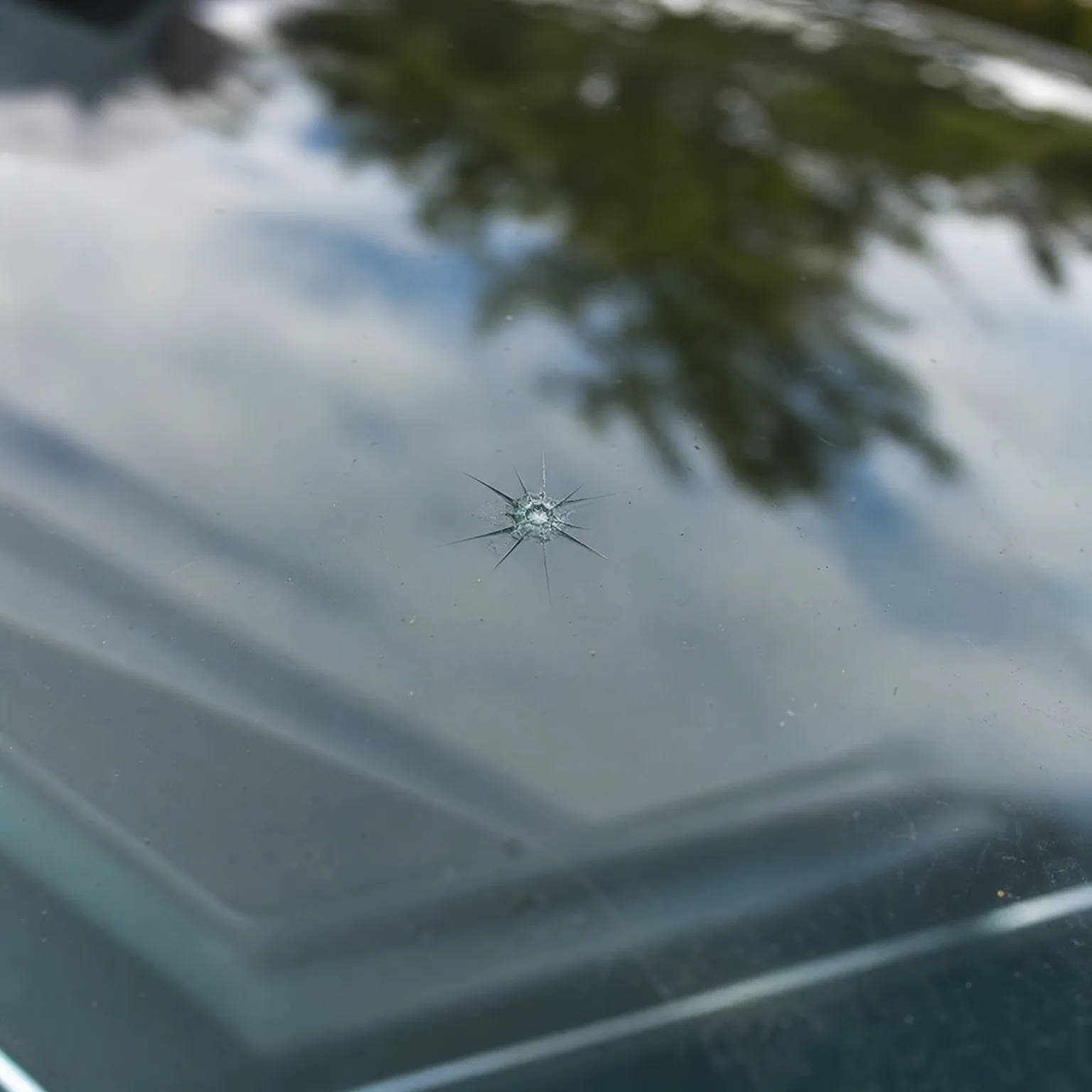 Close-up of a star-shaped chip with radiating cracks in a vehicle windshield, with tree branches and sky reflected in the glass.