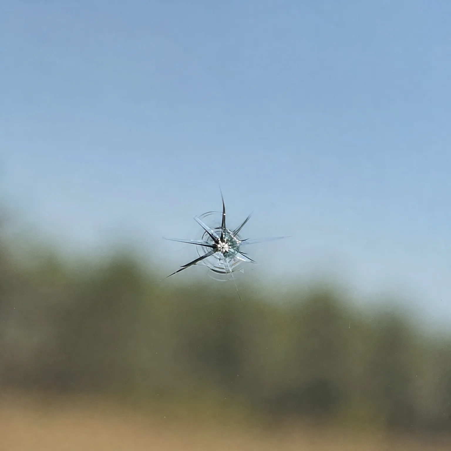 A star-shaped chip with radiating cracks in a vehicle windshield, with blurred green vegetation and blue sky behind it.