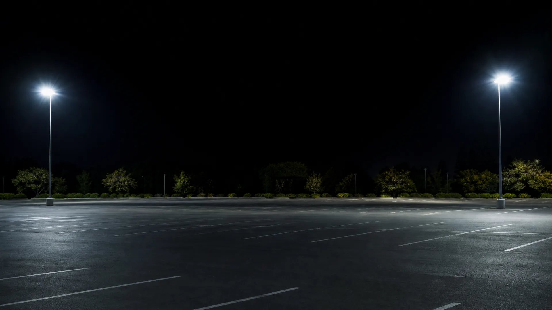 An empty asphalt parking lot at night with painted white stall lines, lit by two tall pole lights, with a row of shrubs and trees along the far edge under a black sky.