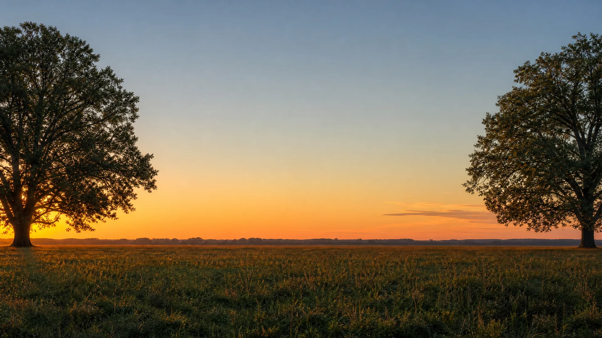A flat grassy field at sunset with two large broadleaf trees framing the left and right edges and an orange-to-blue gradient sky above a distant treeline.