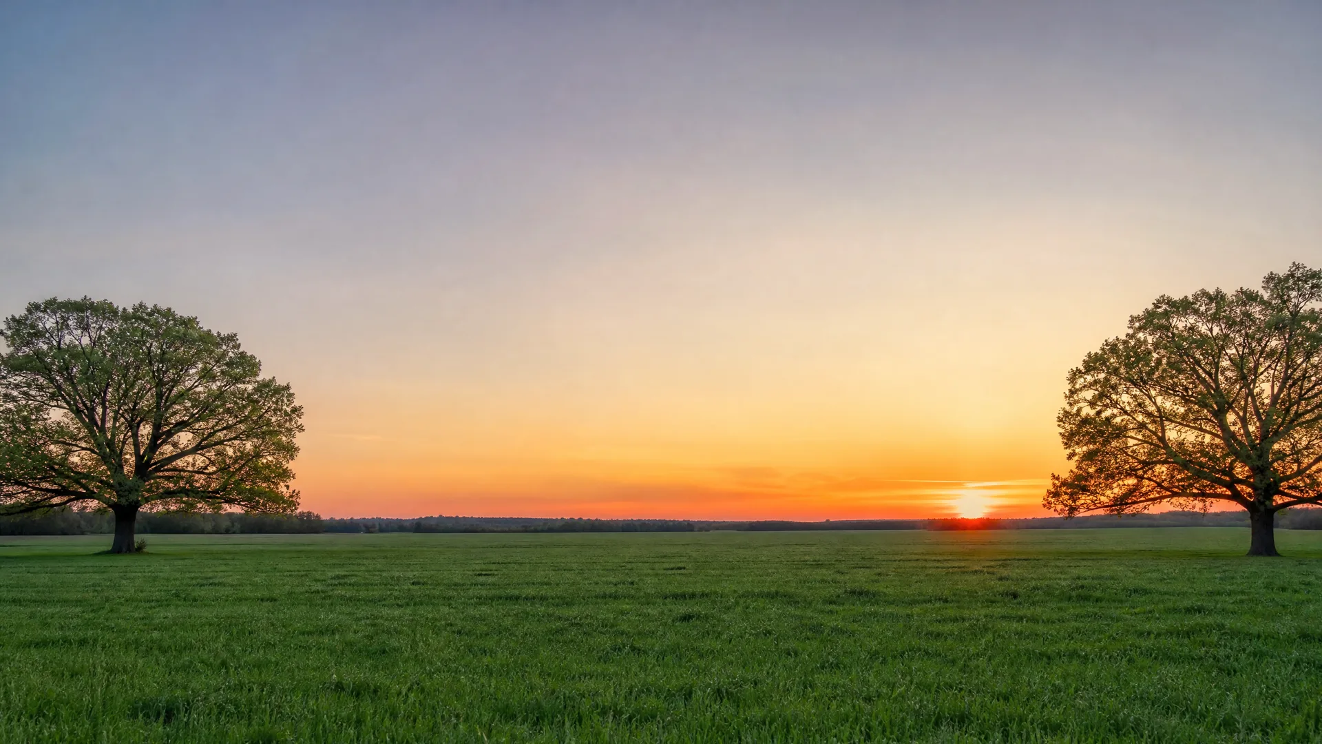 A flat green grass field with two large leafy trees framing the left and right edges, under an orange and blue sky at sunset with the sun low on the horizon.