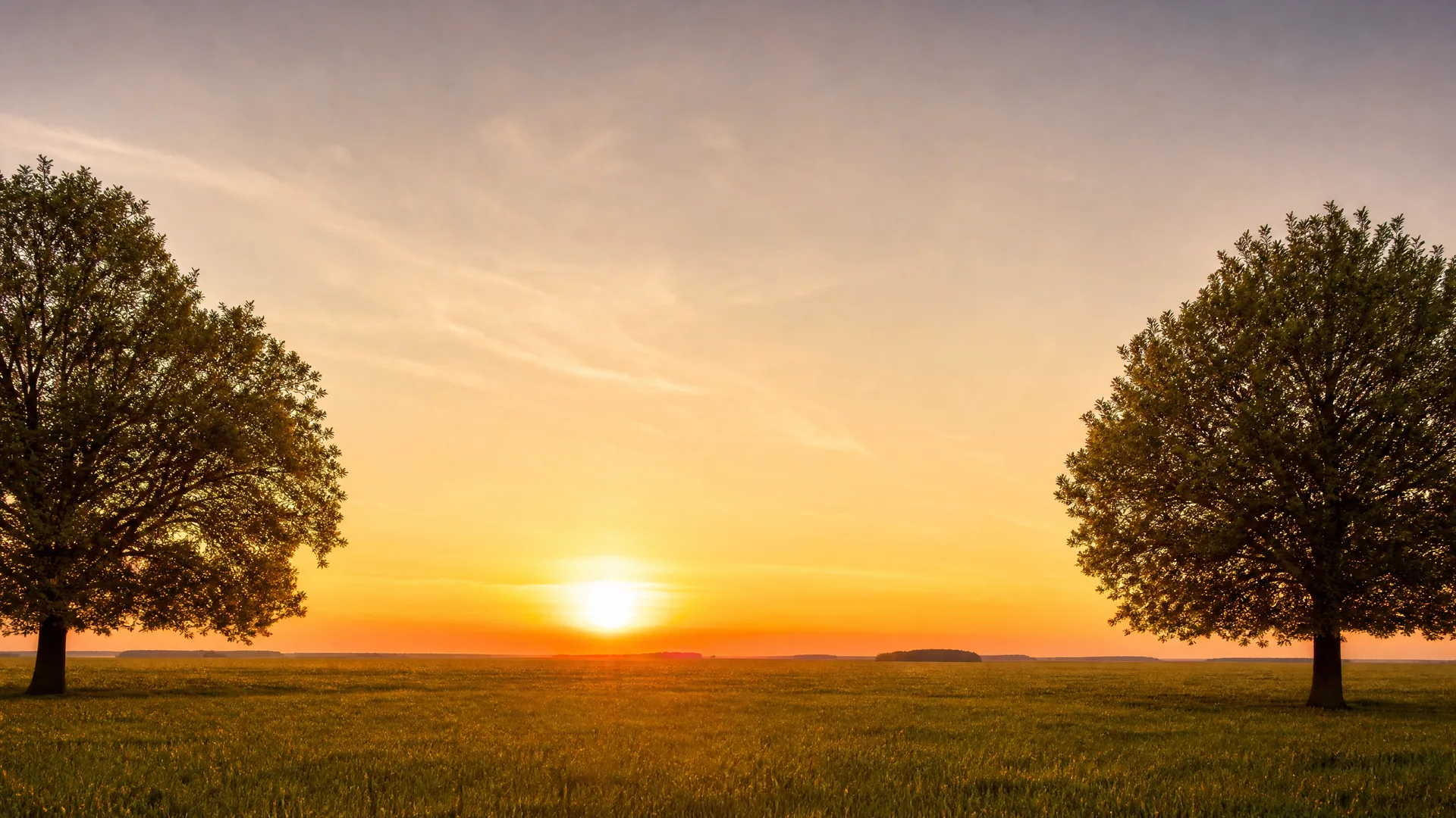 Two broad-crowned trees frame the left and right edges of a flat grassy field, with the sun low on the horizon in an orange and blue sky.