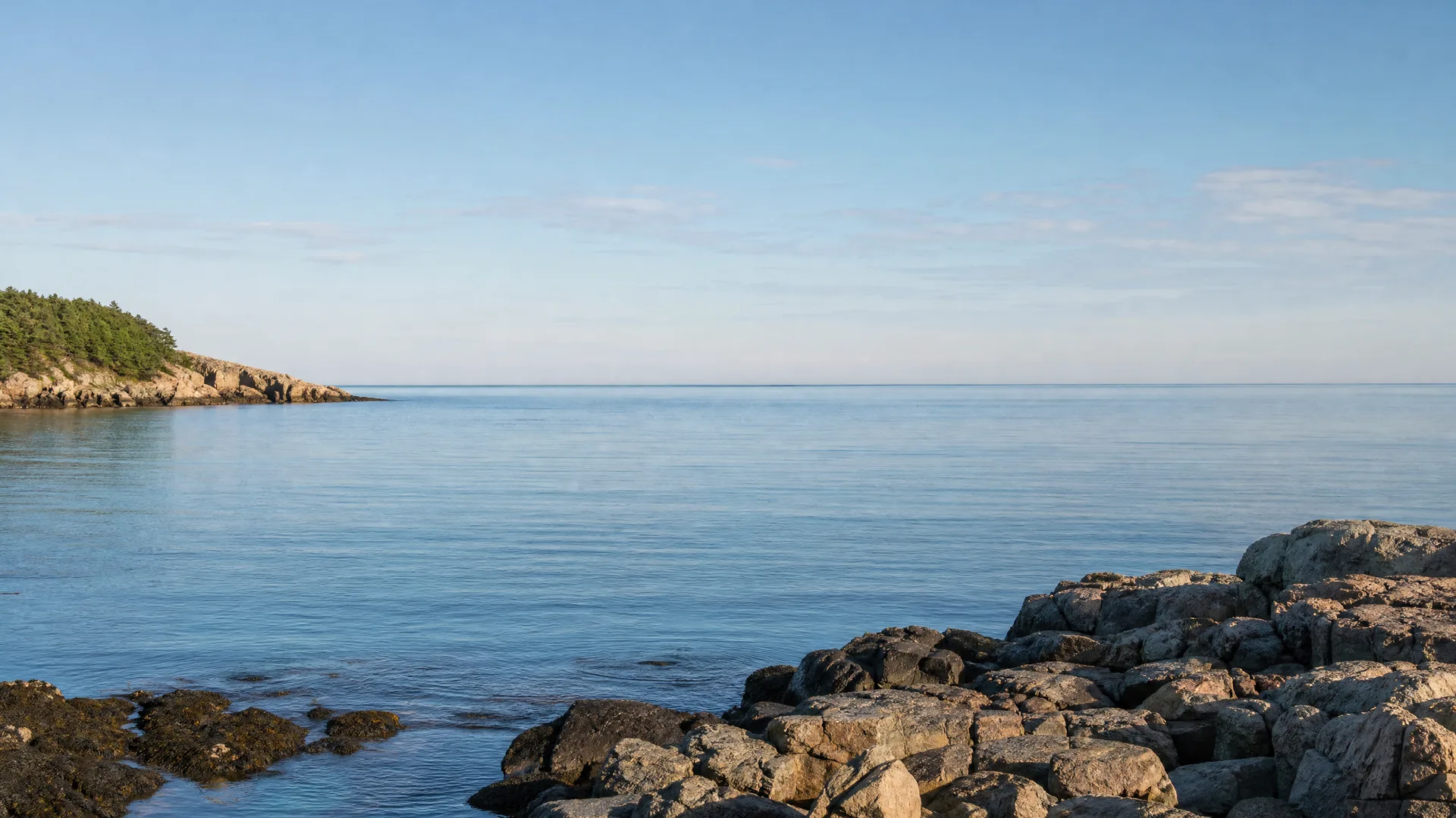 A calm sea under a clear pale blue sky, with a rocky shoreline in the foreground and a low tree-covered headland on the left.