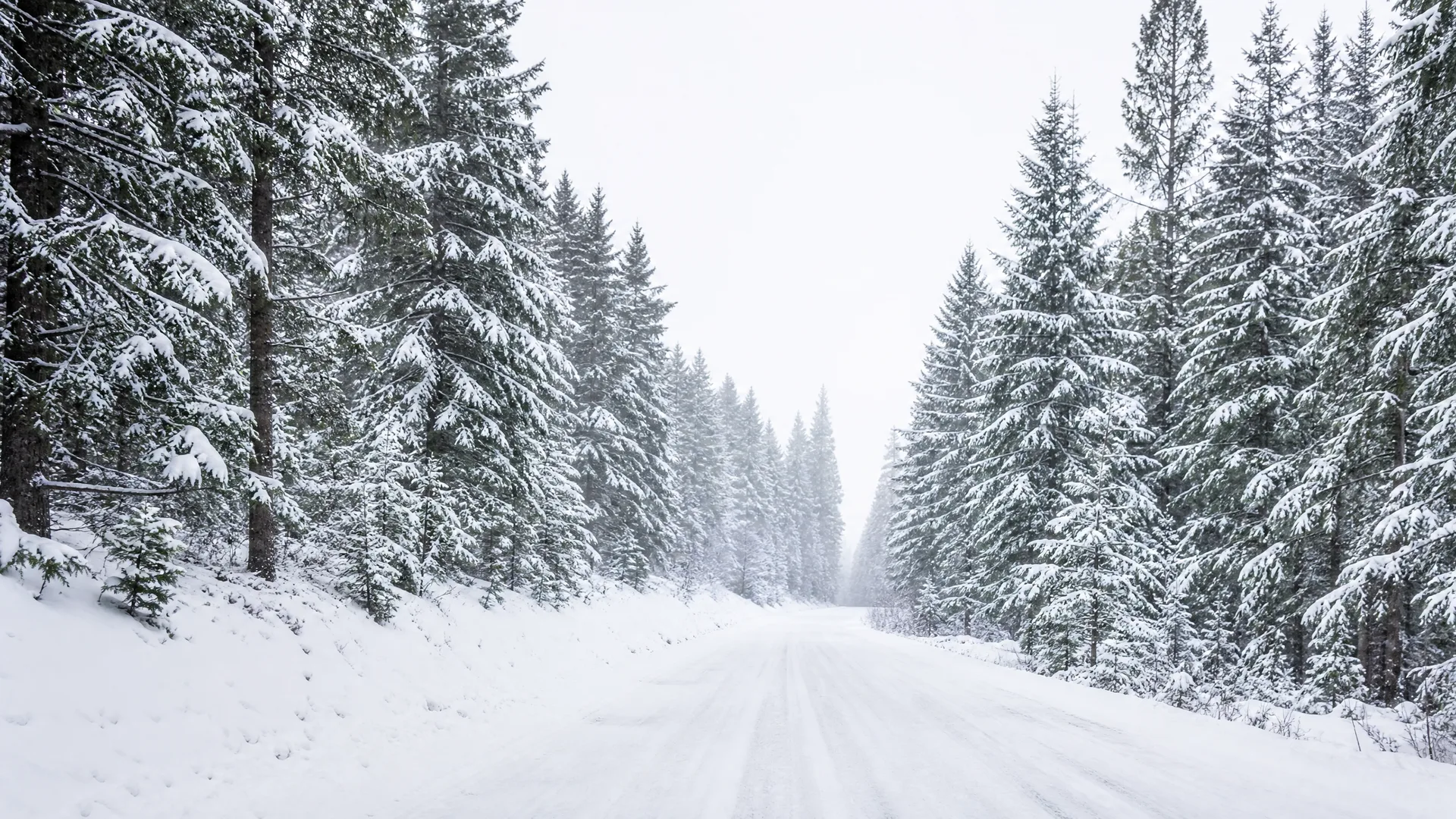 A snow-covered road runs between rows of snow-laden spruce trees under a pale overcast sky.