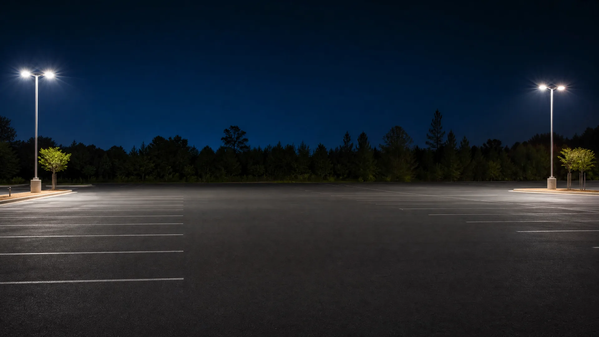 An empty asphalt parking lot at night with painted white stall lines, lit by two tall light poles with twin fixtures, backed by a dark tree line under a deep blue sky.