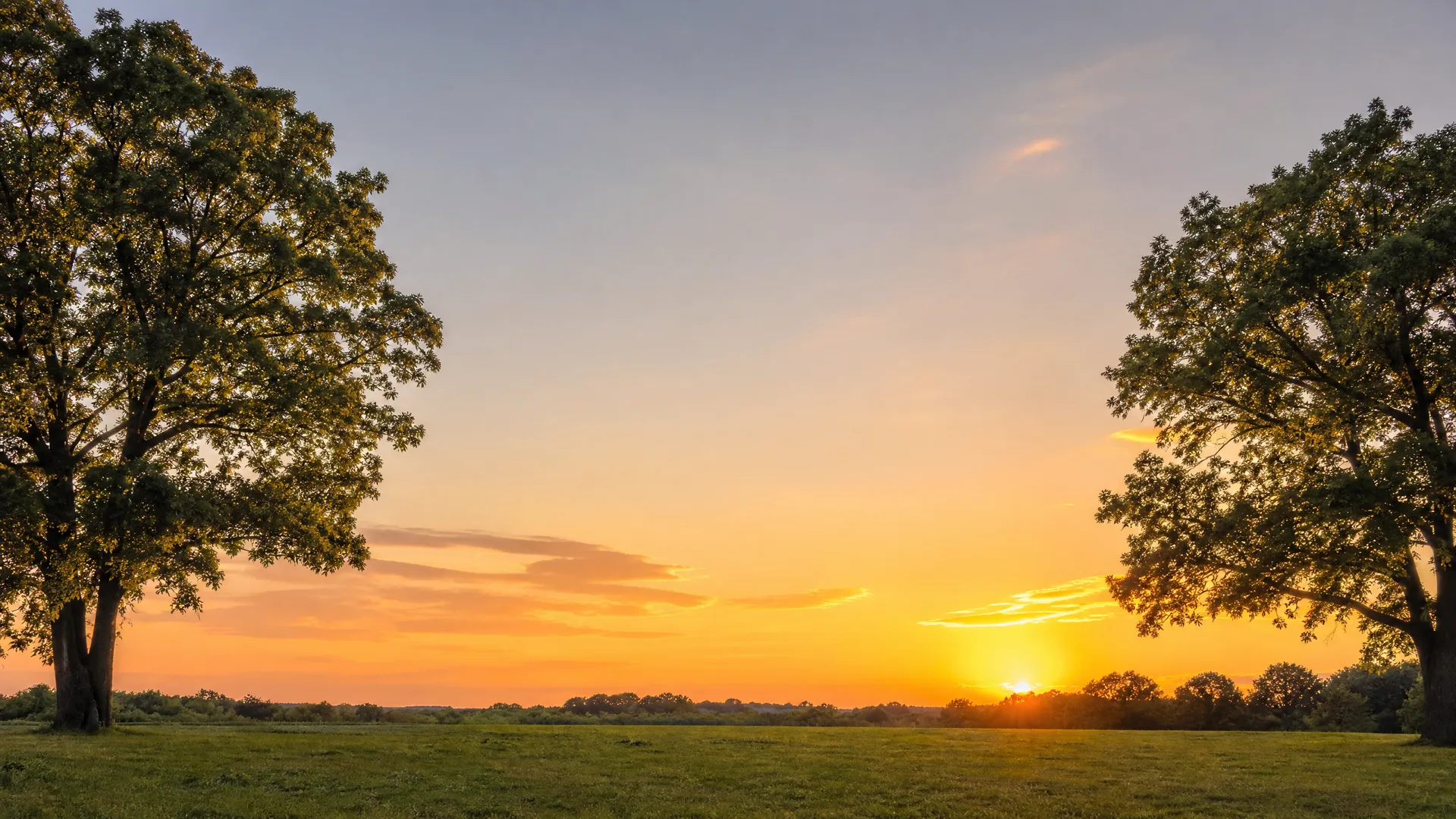 A grassy meadow bordered by two large leafy trees framing an orange and blue sky at sunset, with a low tree line on the horizon.