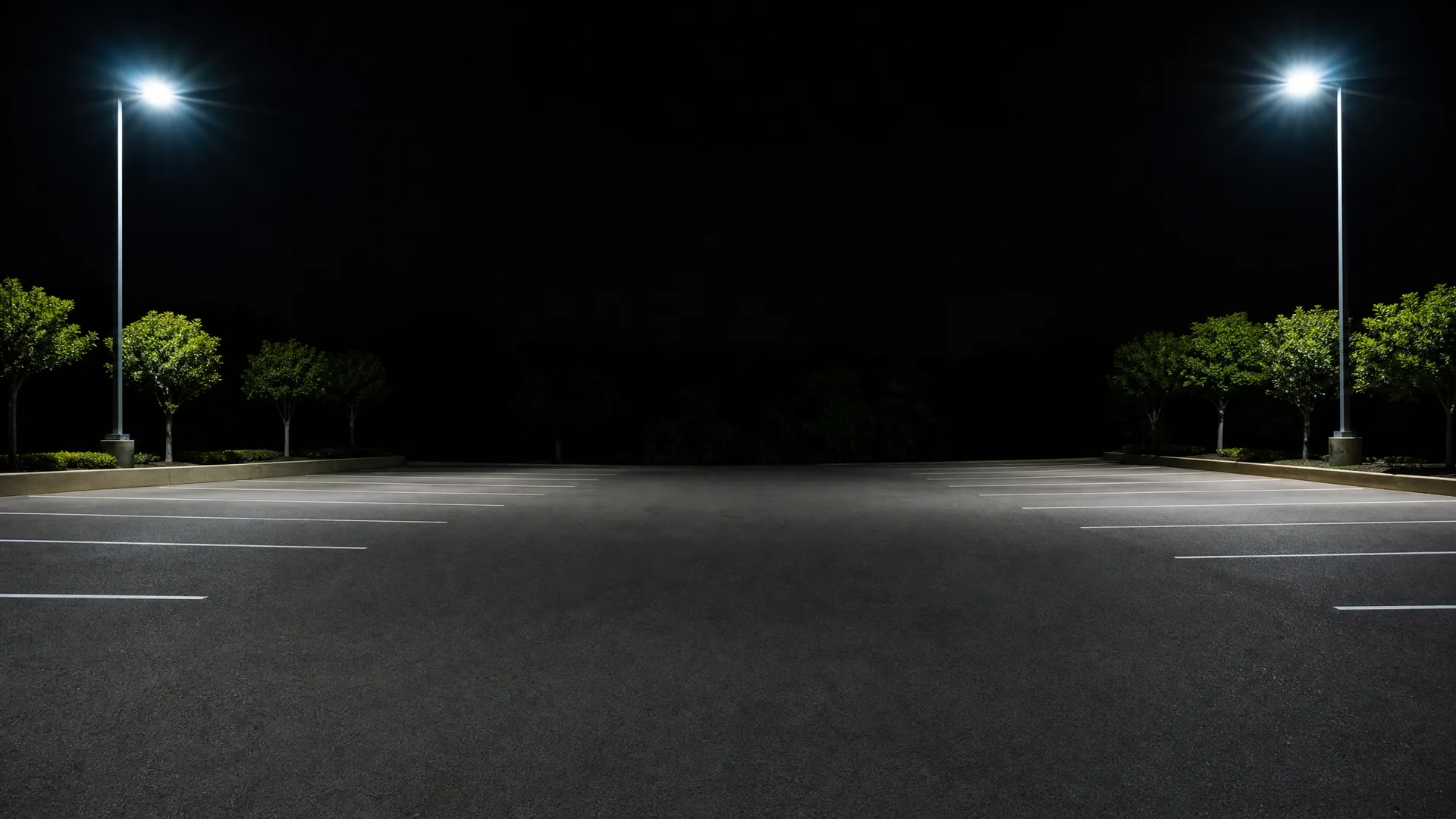 An empty asphalt parking lot at night with white painted stall lines, lit by two tall pole-mounted lights, with low trees and shrubs along the far edges.