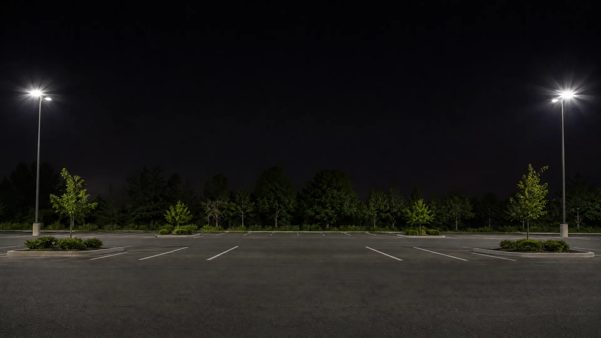 An empty asphalt parking lot at night with painted white stall lines, two tall lit pole lights, landscaped islands with small trees, and a dark treeline in the background.