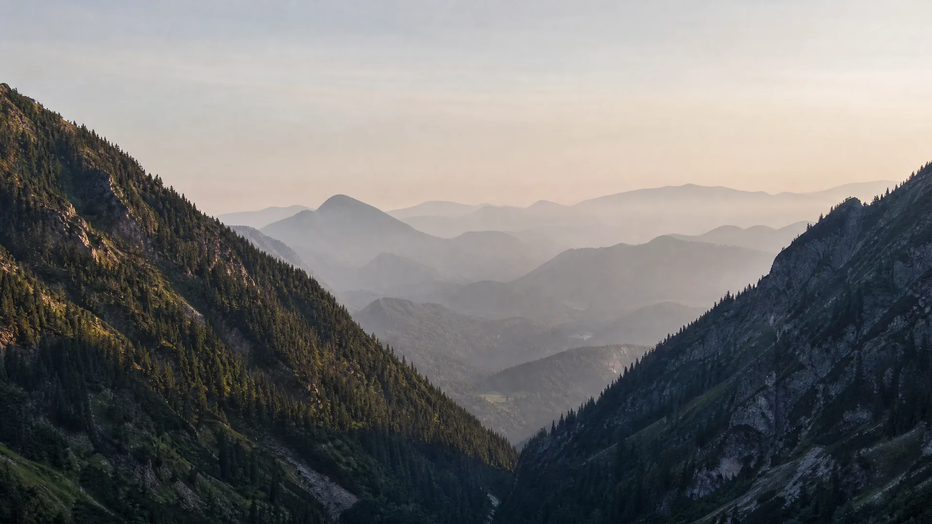 Hazy mountain valley at low sun, with conifer-covered slopes in the foreground and receding ridgelines fading into mist under a pale sky.