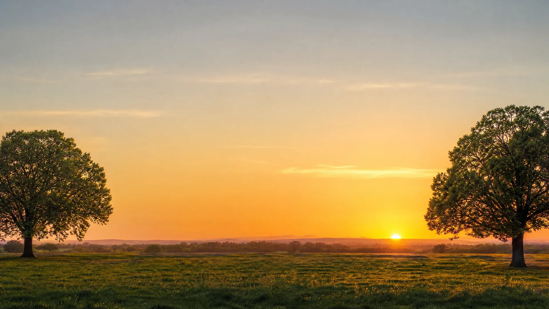 A grassy field with two broad-crowned trees framing left and right, under an orange and blue sky as the sun sits low on a flat, distant horizon.