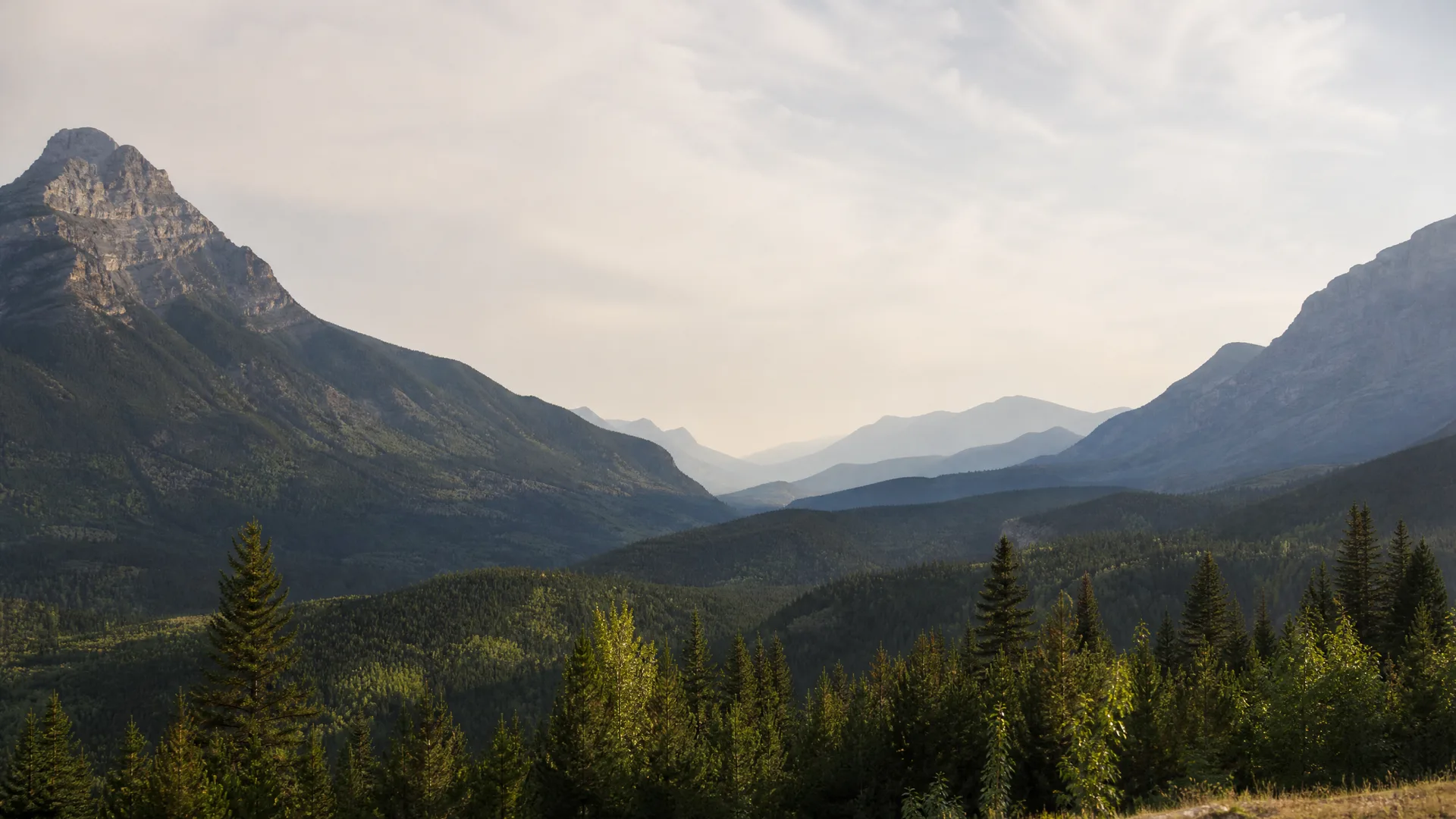 A hazy mountain valley with forested slopes, a rocky peak on the left, and conifer trees in the foreground under a pale sky.